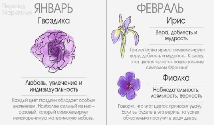 Цветы Для Козерога Женщины По Гороскопу Какие