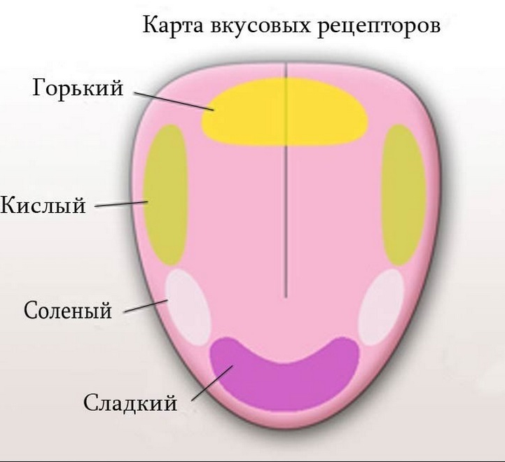 Схема чувствительности языка