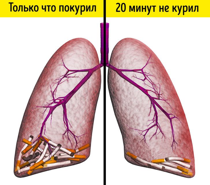 Что произойдёт с организмом, если отказаться от сигарет хотя бы на 2 недели