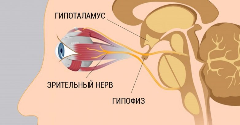 8 шагов к улучшению и восстановлению зрения