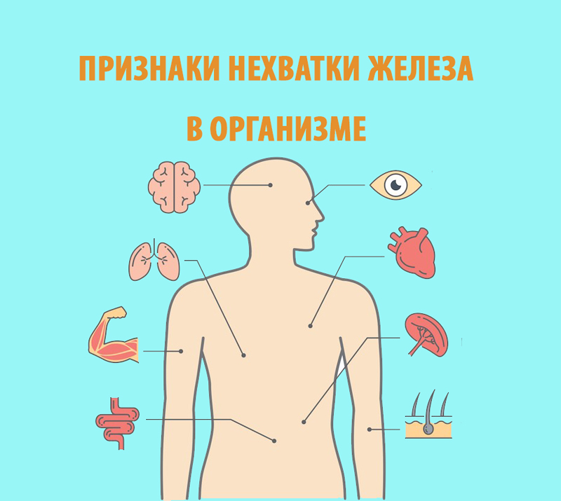 Дефицит железа картинки