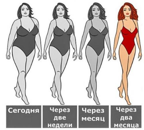 Белковая диета. Диета рассчитана на 5 дней