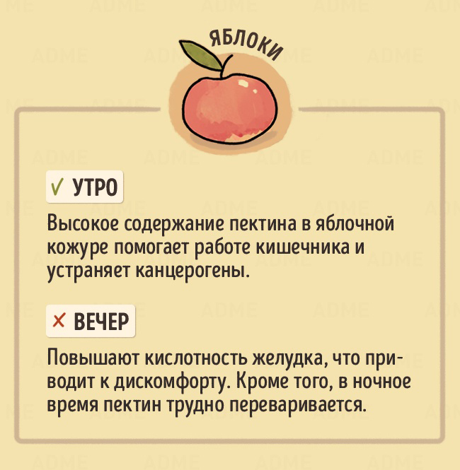 В какое время дня лучше есть те или иные продукты