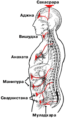 АДЖНА ЧАКРА — КАК ОТКРЫТЬ ЕЕ И ПРОКАЧАТЬ ЯСНОВИДЕНИЕ