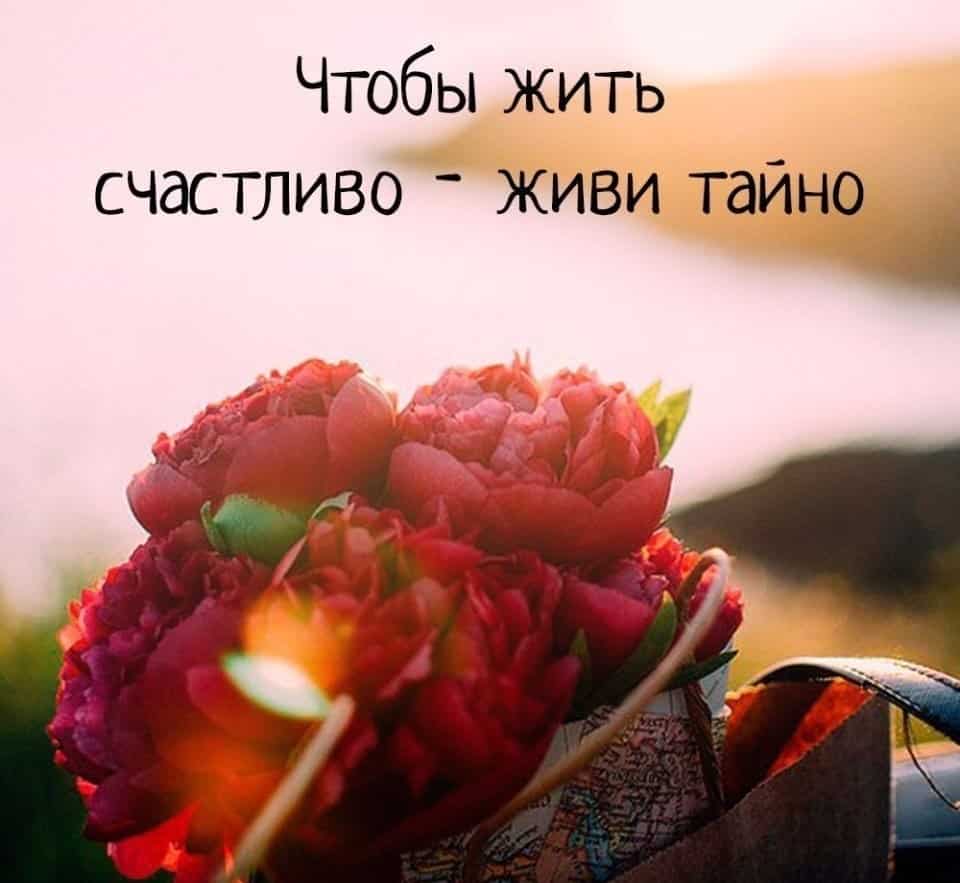 Картинки лучшие цитаты