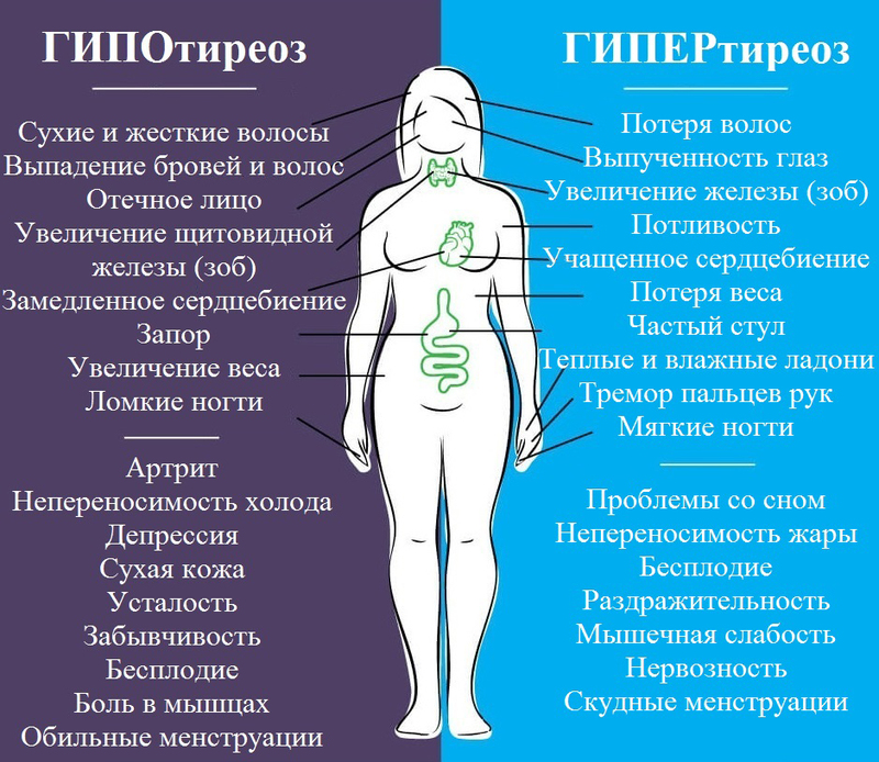 Гормоны щитовидки: как они влияют на здоровье женщины