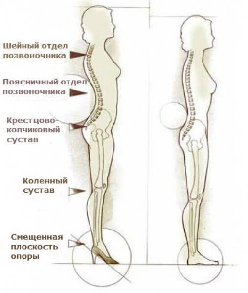 Самое вредное — это сидеть! Нагрузка на позвоночник в цифрах