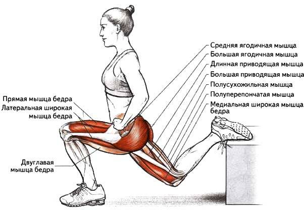 Названо лучшее упражнение для упругих ягодиц (не приседания!)