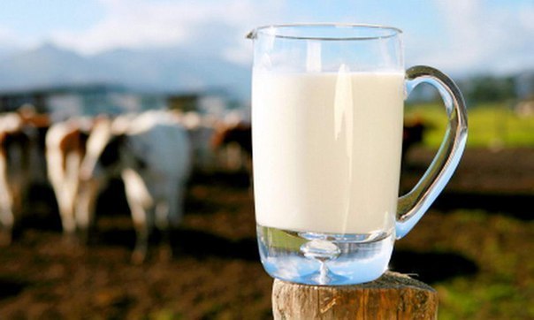 Как правильно пить молоко: 12 советов для вашего здоровья