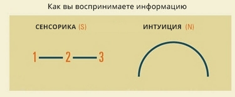 Ответьте честно на 4 вопроса и узнайте, к какому из 16-ти типов личностей вы относитесь