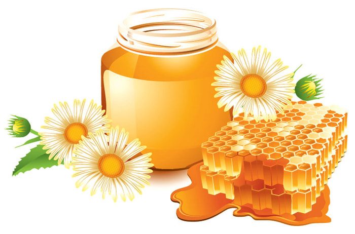 Целебные свойства меда: 11 способов применения