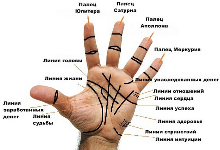 Как прочитать все важные линии на ладони без помощи гадалки