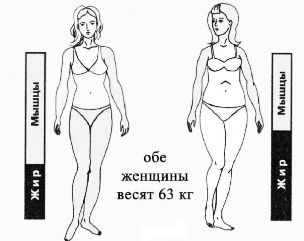 Как женщине узнать индекс массы тела