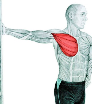 10 упражнений на растяжку: как мышцы тянутся на самом деле