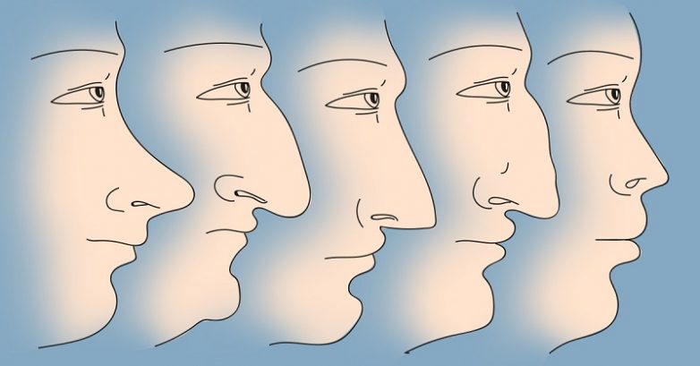 Как можно определить характер по форме носа