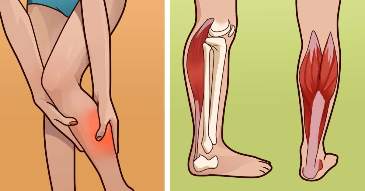Ногу свело: как остановить мышечную судорогу?