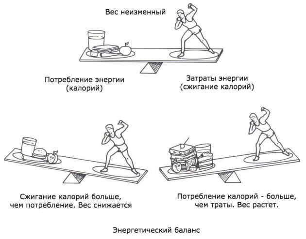 Когда энергетический баланс «НЕ работает», или Как «сломать» метаболизм