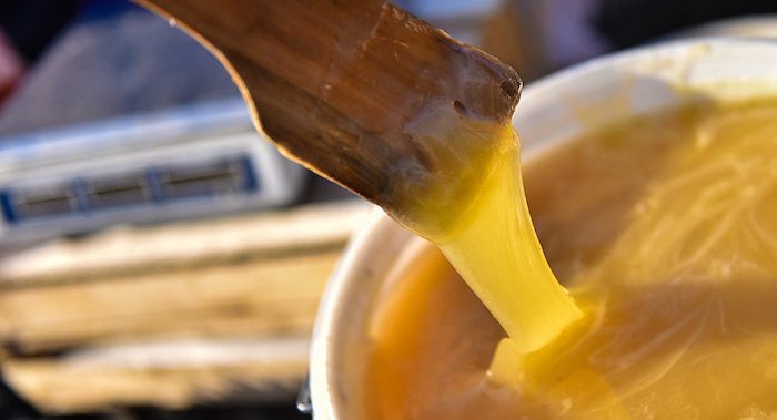 Как отличить настоящий мёд от ненастоящего?