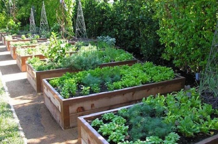Прекрасный весенний сад: 17 отличных идей для грядок