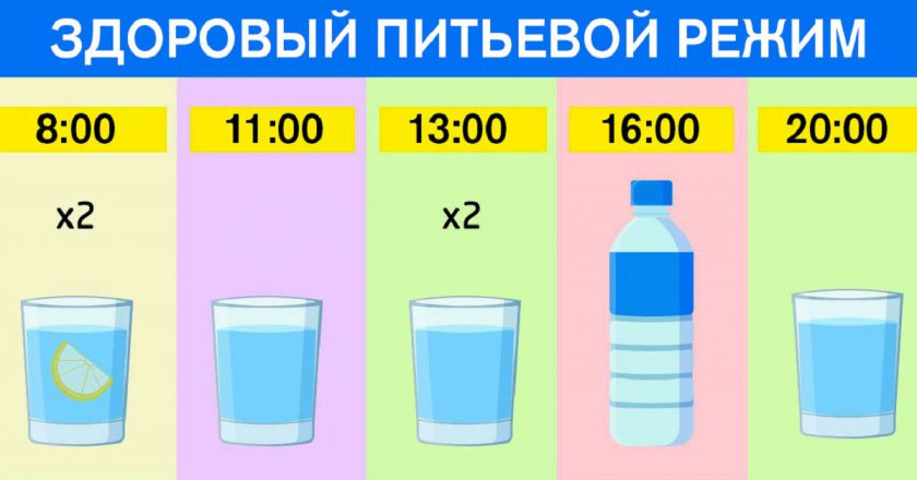 График для худеющих: ешь что хочешь и пей воду по часам. Результат — минус 15 % жира!