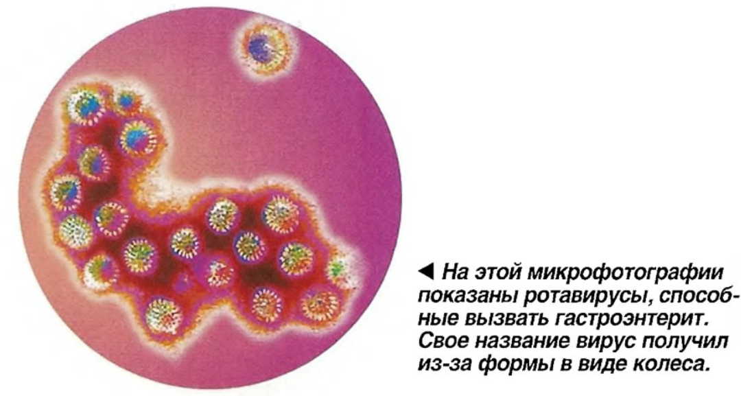 Хочу рассказать, как я одолела повышенную кислотность желудочного сока, боли и изжогу. Уже много лет желудок не болит!