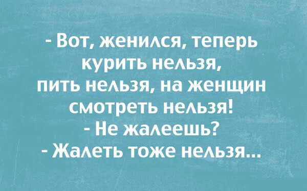 смешные картинки