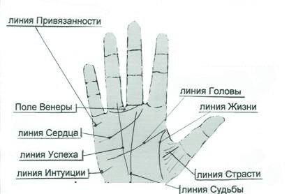 Что значат линии на ладони? Простым и доступным языком!