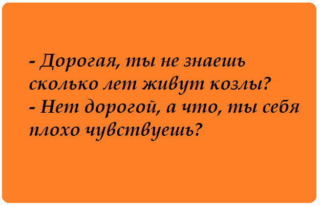 «СМЕШНЫЕ ОТКРЫТКИ НА КАЖДЫЙ ДЕНЬ»